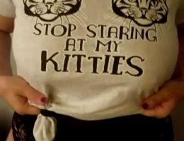Stop Staring At My Kitties…