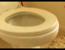 Sasha Grey Cleans The Toilet